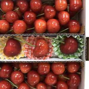 ジュノハート3個と紅秀峰3L・2L混合1kg デカイです