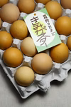 平飼いたまご「きみがスター」