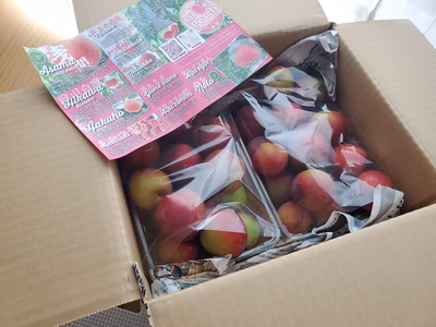 みんなの投稿の画像