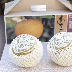 晴れの国育ち岡山県産　あたご梨　赤秀２玉