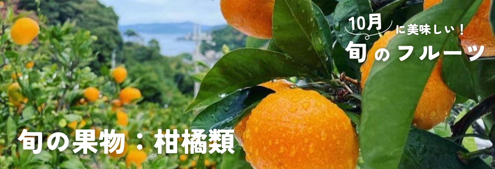 10月に旬の果物 柑橘類