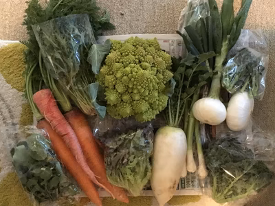 みんなの投稿の画像