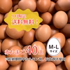 ●送料無料●国産赤たまご40個【産卵期間中ホルモン剤、抗生剤不使用】