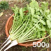 【無農薬・無肥料】柔らかく旨みもある葉大根（打木源助大根の間引き菜）《常温便》