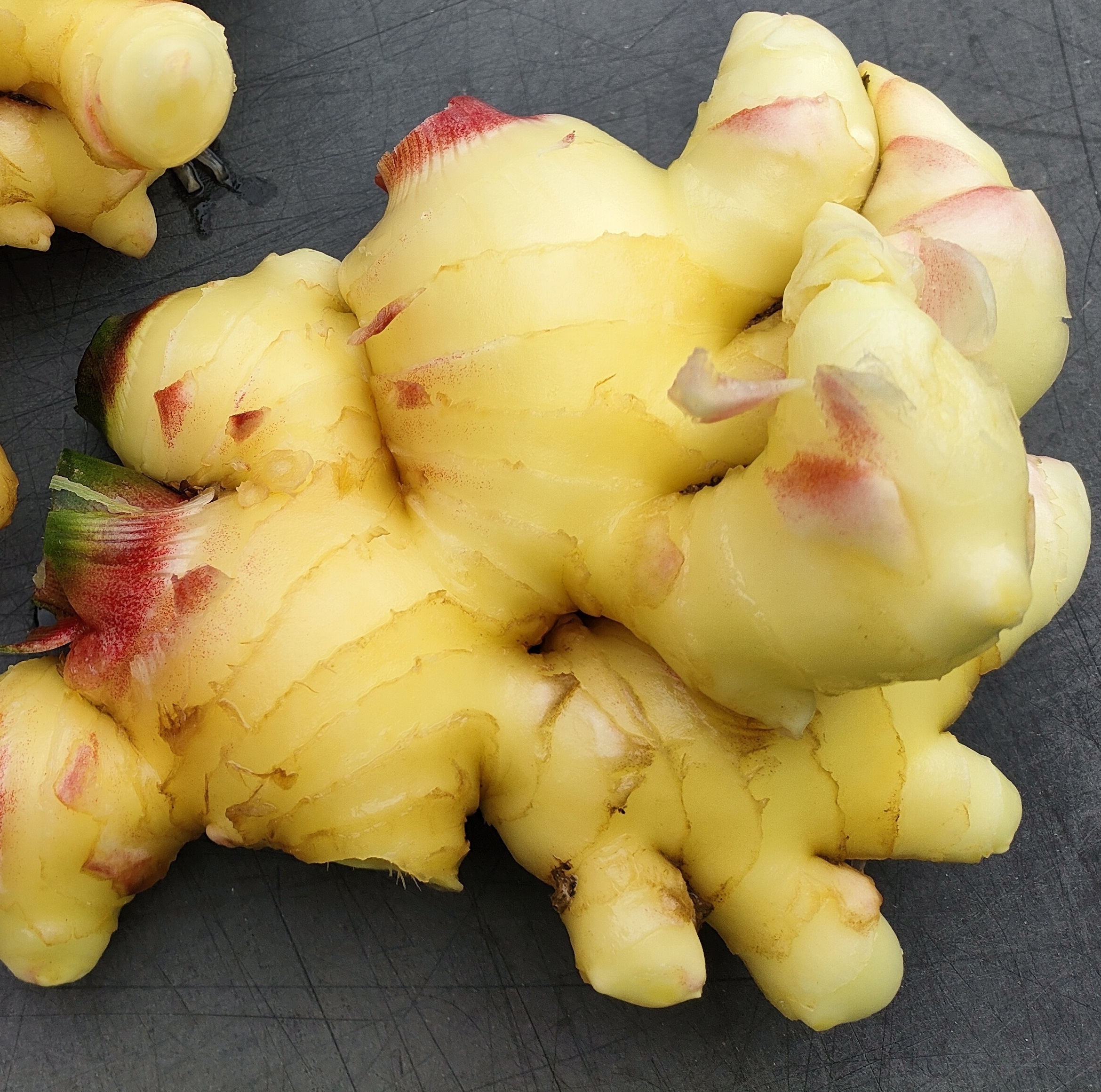 濃い味と香り、黄金生姜(こがねしょうが)の新生姜 洗い品500g