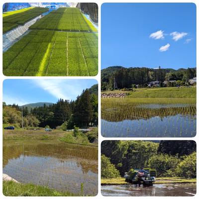 みんなの投稿の画像