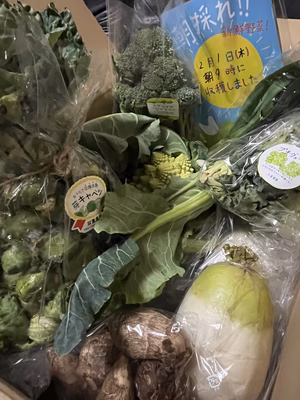 みんなの投稿の画像