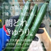 【常温配送便】1㎏〜3㎏　地下天然水から作る新鮮朝どれきゅうり