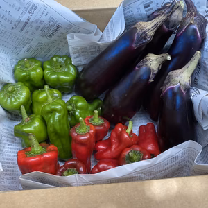 暑さに負けるな！夏野菜セット！