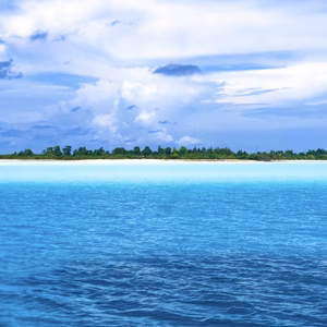 えみこ様専用です♥