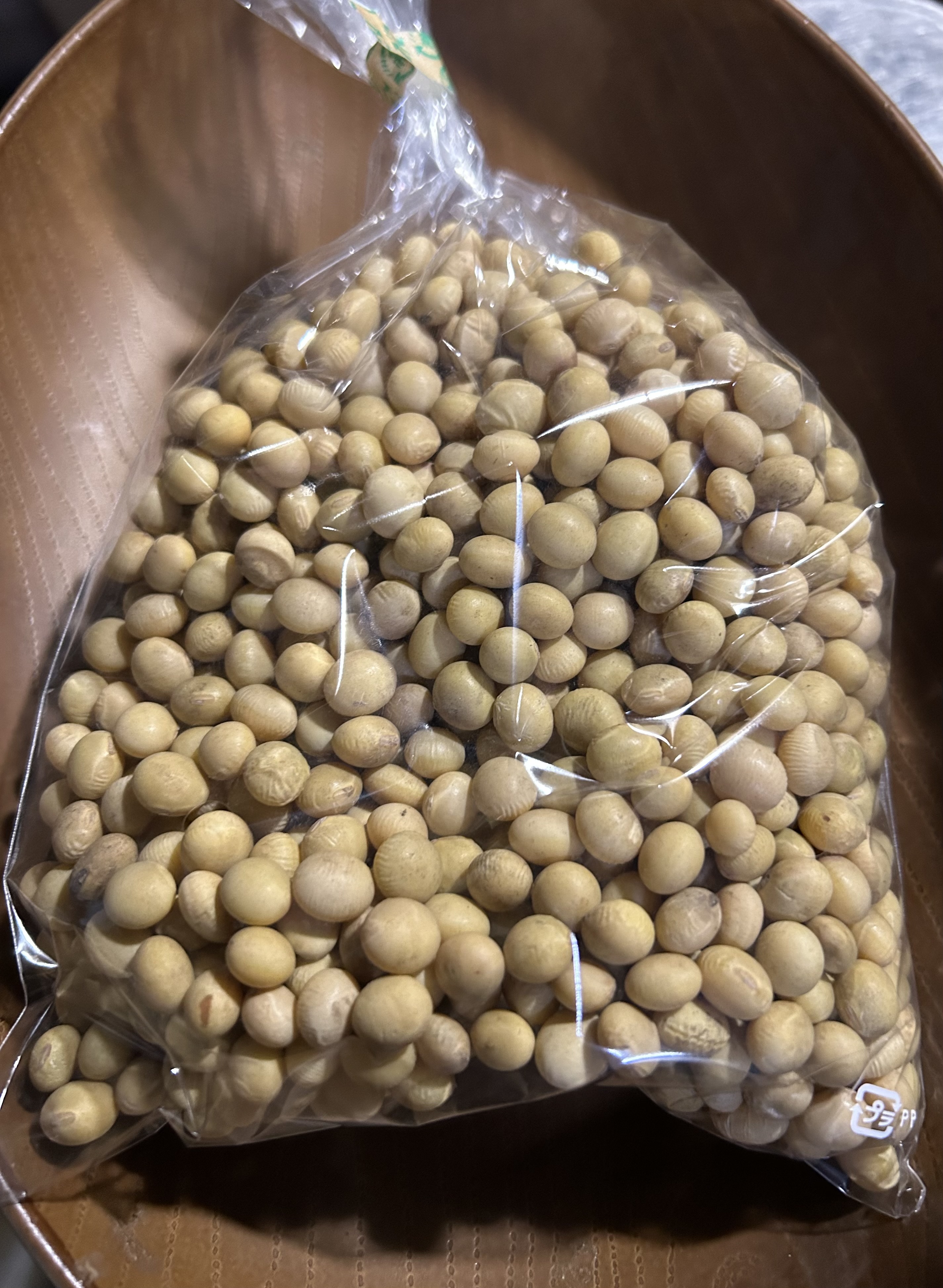 大豆 長野県産大豆　薬品磨き不使用小粒加工用　訳あり10kg　X線　品質検査合格 濃厚10％国産大豆の無調整豆乳 1000ml｜マルサンアイ株式会社