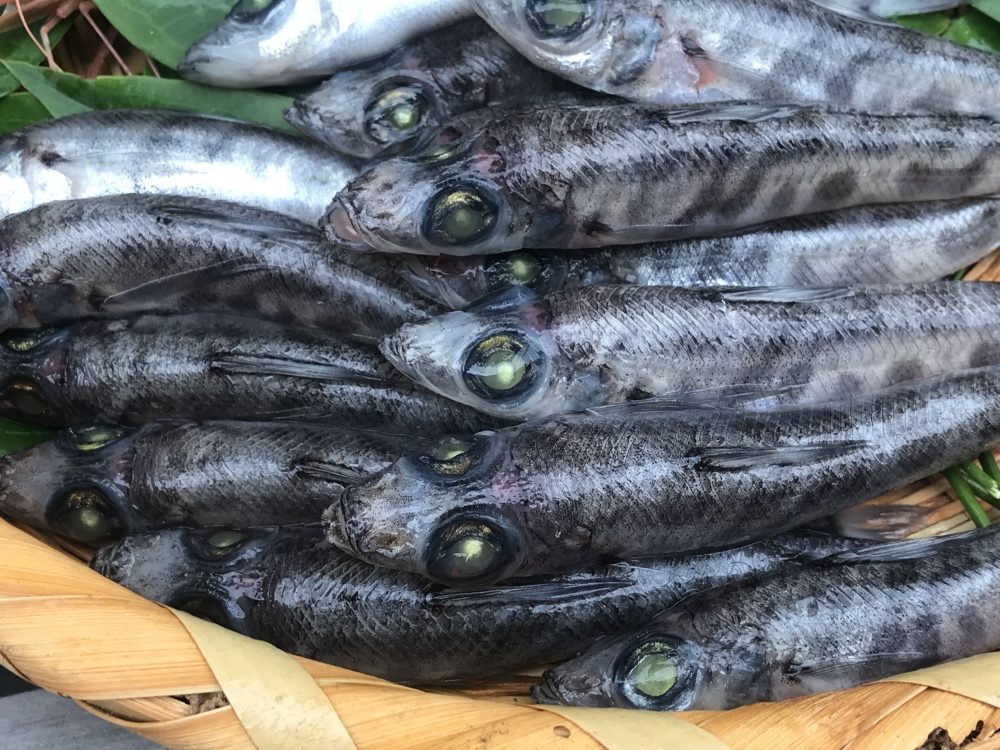 子供からお年寄りまでが美味しく食べれる深海魚 メヒカリ 農家漁師から産地直送の通販 ポケットマルシェ