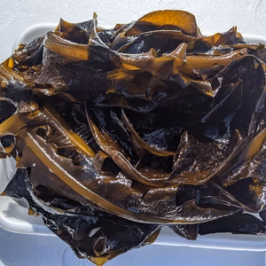 コカ・コーラさま専用　三陸産生ワカメ　わかめ　500g 12袋