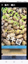 ❤おじいちゃんの無農薬　じゃがいも❤メークイン　箱こみ5キロ