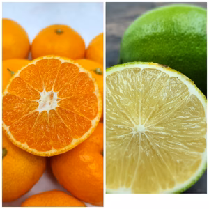 人気のツートップ