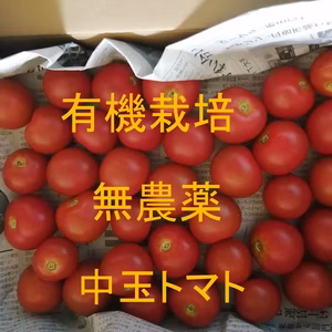 無農薬 有機トマト