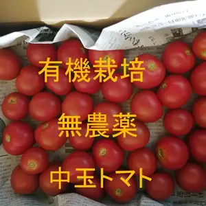 無農薬 有機トマト