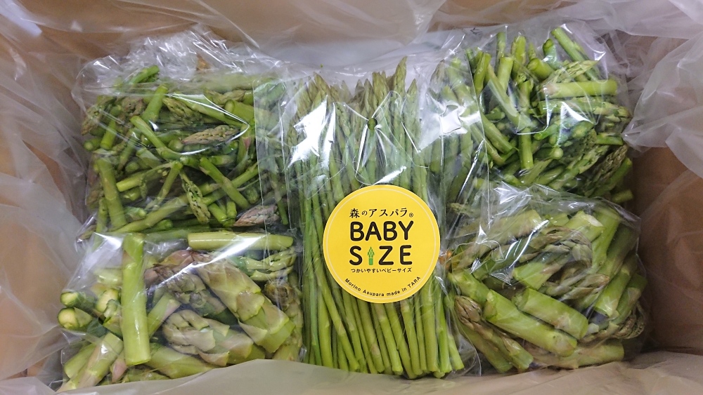 ポキポキアスパラ 忙しい方必見 すぐに食べれる下ごしらえ済み 750グラム 農家漁師から産地直送の通販 ポケットマルシェ