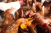河内山養鶏場の卵（Mサイズ2０個）