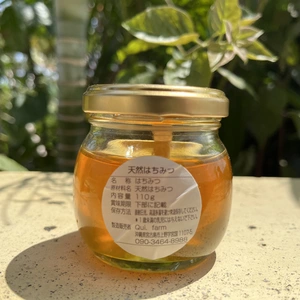 宮古島から天然蜂蜜