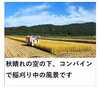 ＜玄米＞秋田のあきたこまち【令和6年産】定期購入 Rev.0