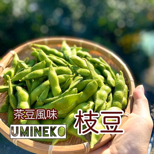 【晩夏sale】新鮮！朝採り茶豆風味の枝豆【英】海辺育ち！