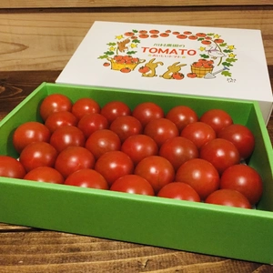 甘さと旨みたっぷりの中玉トマト（アミノレッド）1箱