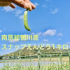 南房総鴨川産スナップえんどう【1キロ】
