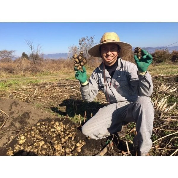菊芋茶 ❮イヌリン豊富❯ 信州安曇野･大町産  無農薬　3g×20p　3袋セット