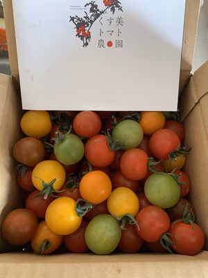 みんなの投稿の画像