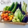 季節の野菜セット  無農薬・化学肥料“不使用”