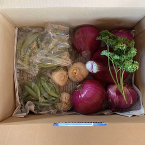 熊本県八産農薬不使用赤タマネギ、ニンニク、スナップエンドウ、パセリ　詰め合わ