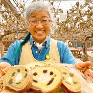 【キウイおばさんの手作りギフト】キウイパンケーキ＆2種類のジャムセット:M-PJ