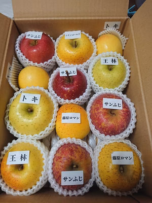 みんなの投稿の画像