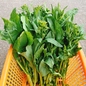 新潟冬菜(とうな)、川流れ菜　計800g