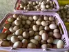 大地の卵　終生飼養　40玉パック