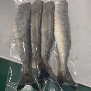 新‼️ 真空　活〆ホッケパック、タラ半身セット