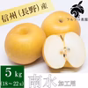 【加工用 5kg】 南水 18〜22玉