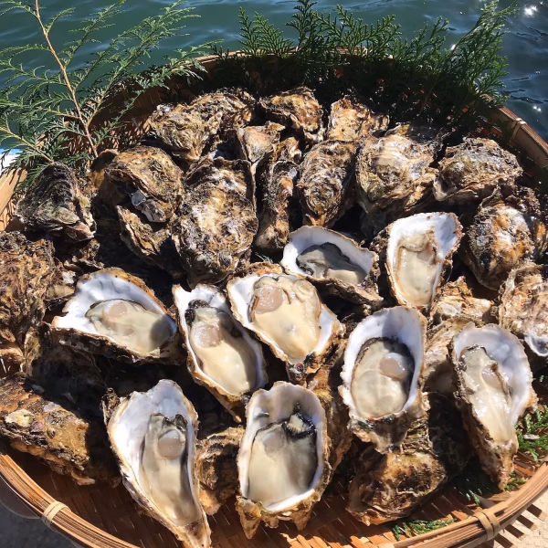 浦村かき　(株)浦村SeaFarm