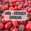 【四国・近畿地方限定‼️送料込み】熊本県産 完熟アイコ 『おるげんとまと』
