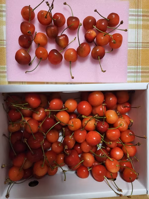 みんなの投稿の画像