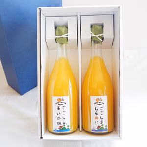 ＜2026NEW＞母の日/ギフト箱/ミックスみかんジュースセット