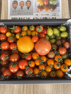 みんなの投稿の画像