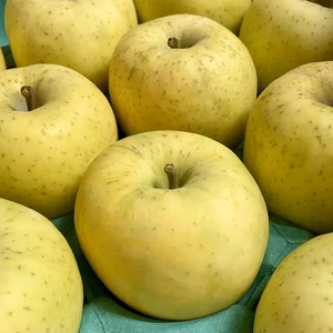 【希少品種！黒石生まれ】星の金貨　秀　5キロ