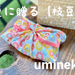 【ポケマルの夏ギフト】選べる2種の風呂敷包み！茶豆風味の枝豆【英】