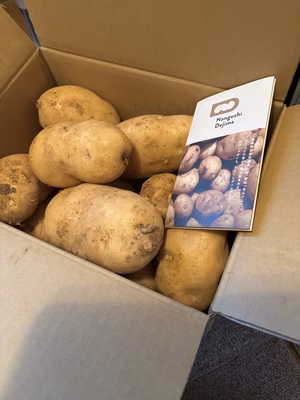 みんなの投稿の画像