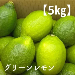 【5㎏／M.Lサイズ】特選品グリーンレモン