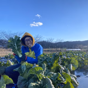 【お得な規格外】朝採れ三池高菜・和歌山県新宮産 高菜
