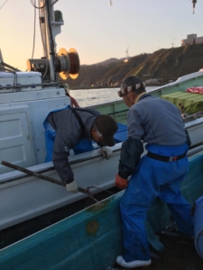 14567964_1331546826870149_5181268075964004209_n