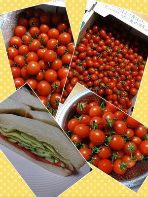 みんなの投稿の画像